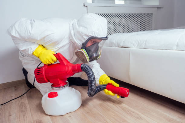 Pest Prevention Services in South Run, VA