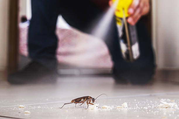 Pest Control Cost in South Run, VA